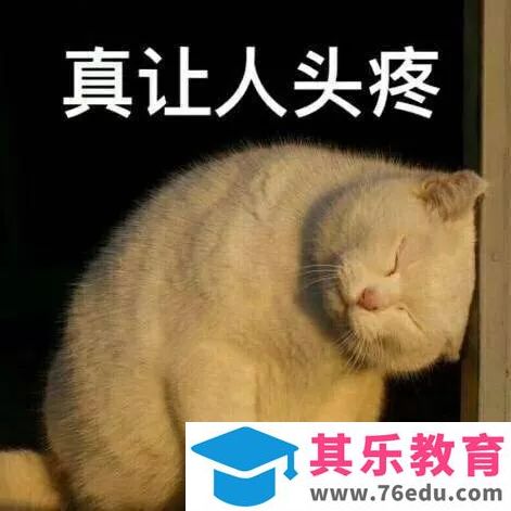 wps图片排版怎么设置？